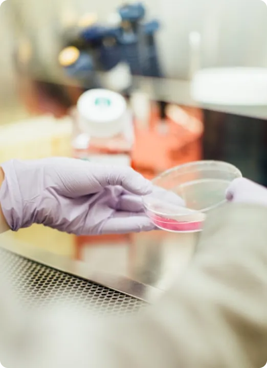 A gloved hand holding a container of liquid.