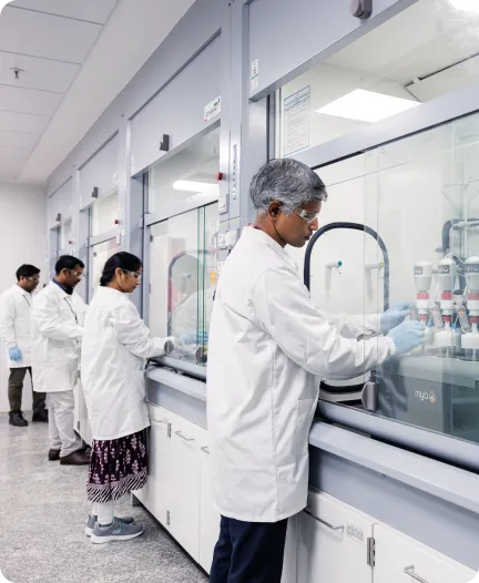 Team of scientists working on a R&D project in Honour's state-of-the-art labs